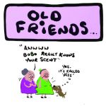 Birthday Card - Old Friends - Adult Rude Funny - Something David