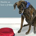 Greetings Card - German Pointer - Houston - The Little Dog 