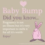 Baby Shower Card - Baby Bump Did You Know? - Rufus Rabbit 