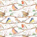 Garden Bird Wrapping Paper 2 Sheets & Tags - Arty Penguin