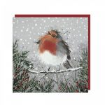 Charity Christmas Card Pack - 6 Cards - Xmas Pudding Red Robin - Shelter