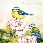 Thank You Card - 5 x Notelets - Blue Tits Bird On Floral - Ling Design