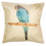 Parakeet Bird Cushion Cover 43cm x 43cm - Clayre & Eef