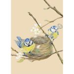 Greetings Card - Blue Tits Bird Nest - Deckled Edge