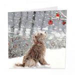 Charity Christmas Card Pack - 6 Cards - Scruffy Dog - Glitter Shelter