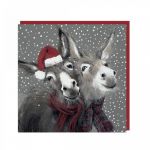 Charity Christmas Card Pack - 6 Cards - Donkey Friends - Shelter