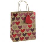 Heart Kraft Medium Gift Bag - Eurowrap 21x25x10cm