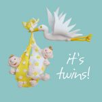 New Baby Card - It's Twins Stork - One Lump Or Two