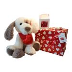 Valentine's Dog Patch Soft Toy With Sweets & Chocolate - Gift Wrapped