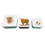 Highland Cow Coo - Jan Pashley Set of 3 Lunch Boxes