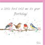 Birthday Card - A Little Bird - Garden Birds - Arty Penguin