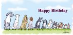 Birthday Card - Dogs In A Row - Funny Gift Envy