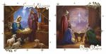 Christmas Card Pack - 12 Cards 2 Designs Religious Jesus Nativity - Eurowrap