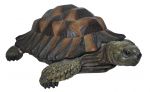 Tortoise - Lifelike Garden Ornament - Indoor or Outdoor - Real Life