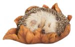 Baby Hedgehog in Leaf - Lifelike Garden Ornament - Indoor or Outdoor - Real Life Vivid Arts