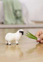 Blacknose Sheep Figure - Farm World - Schleich - 13965