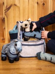 Lemieux Mini Character Dream Bag Backpack