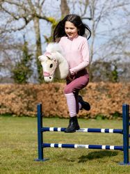 Lemieux Hobby Horse Lemon Shetland
