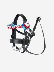 Lemieux Toy Pony Coco Set Showing Bridle Saddle Numnah Sash Rosettes