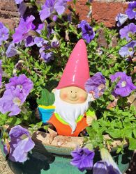 Garden Gnome Bright Shiny 3 Colours - Gift Envy
