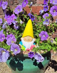 Garden Gnome Bright Shiny 3 Colours - Gift Envy