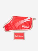 Lemieux Toy Pony Accessories - Winner Champions Red Rug
