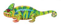 Vivid Arts Chameleon Reptile - Lifelike Ornament Gift - Indoor Outdoor - Pet Pals