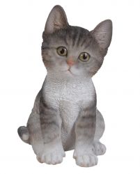 Kitten Cat - 4 Colours - Lifelike Ornament Gift - Indoor or Outdoor - Pet Pals Vivid Arts