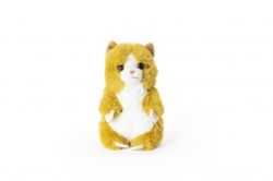 Baby Cat Ginger Kitten Plush Soft Toy - 17cm - Living Nature Babies