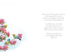 Mother's Day Card - Special Nan - Birds - Glitter - Regal