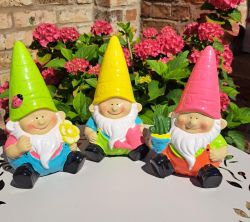 Garden Gnome Bright Shiny 3 Colours - Gift Envy
