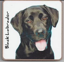 Labrador Dog Puppy Coaster - Dog Lovers 6 Designs 