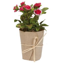 Pink Rose Flower in Pot - Free Gift Bag