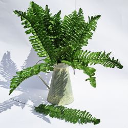 Boston Fern Leaf Foliage Artificial - 24 stems - 2 Colours - Sincere