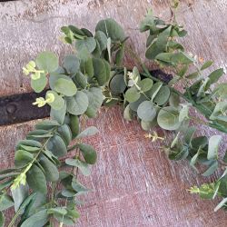 Eucalyptus Garland Artificial - 180cm - Sincere