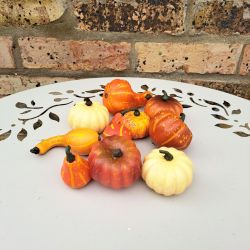 Autumn Pumpkin Assorted Orange - 10 in a net - Sincere