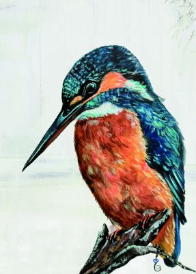 Birthday Card - Kingfisher Bird Quietly Observing - Country Cards