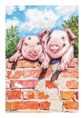 Birthday Card - Farm Pigs Spotted Trotters - Country Cards