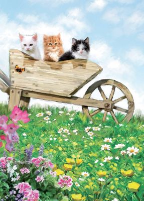 Birthday Card - Cat Kittens Wheelbarrow - Country Cards