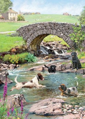 Birthday Card - Dogs in the River - Country Cards
