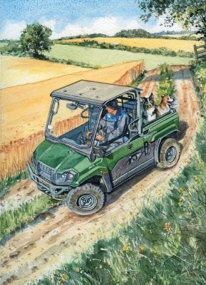 Birthday Card - Kawasaki Mule Gator Farm - Country Cards