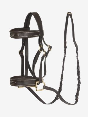 Lemieux Hobby Horse Hunter Bridle Brown Leather