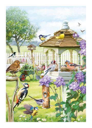 Birthday Card - Birds Garden Bird Table - Country Cards