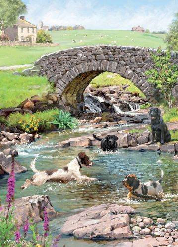 Birthday Card - Dogs in the River - Country Cards