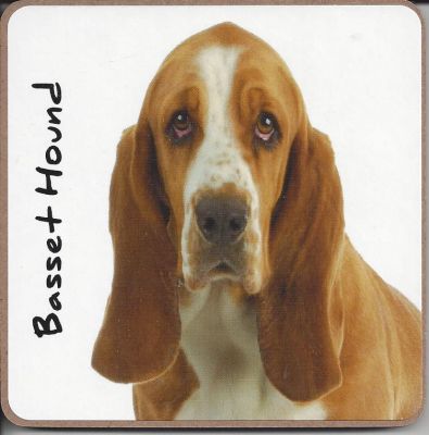 Basset Hound Dog Coaster - Dog Lovers