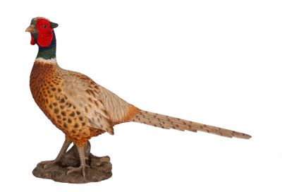 Vivid Arts Pheasant Bird - Lifelike Garden Ornament - Indoor Outdoor - Real Life