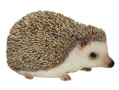 Hedgehog Pygmy - Lifelike Ornament Gift - Indoor or Outdoor - Pet Pals Vivid Arts