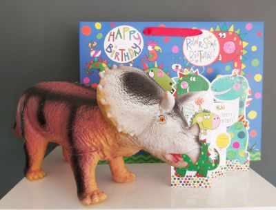 Dinosaur Triceratops Happy Birthday Gift, Card & Bag 