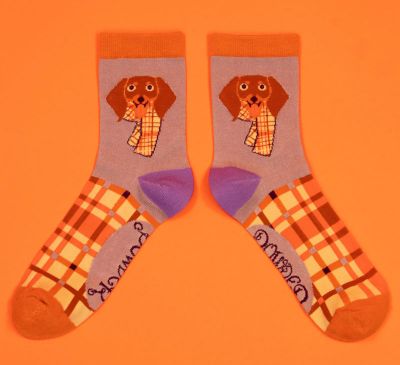 Powder UK Ladies Pringle Sausage Dog Socks - Bamboo - Free Gift bag