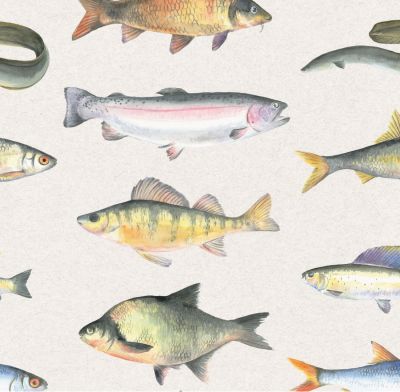 Fish Fishing Wrapping Paper Sheets & Tags - Arty Penguin